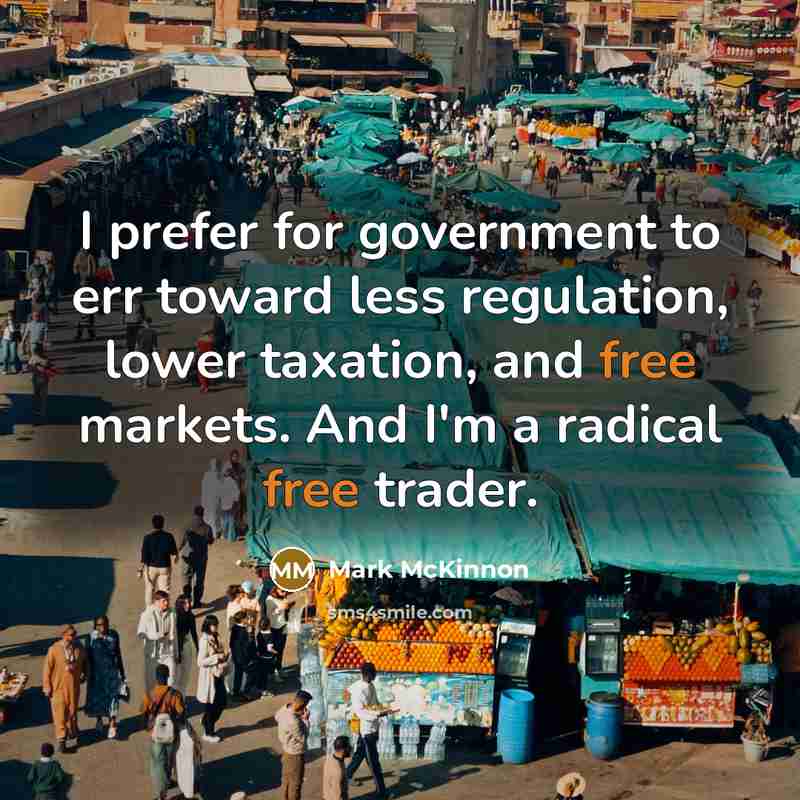 “I prefer for government to err toward less regulation, lower…” quote by Mark McKinnon