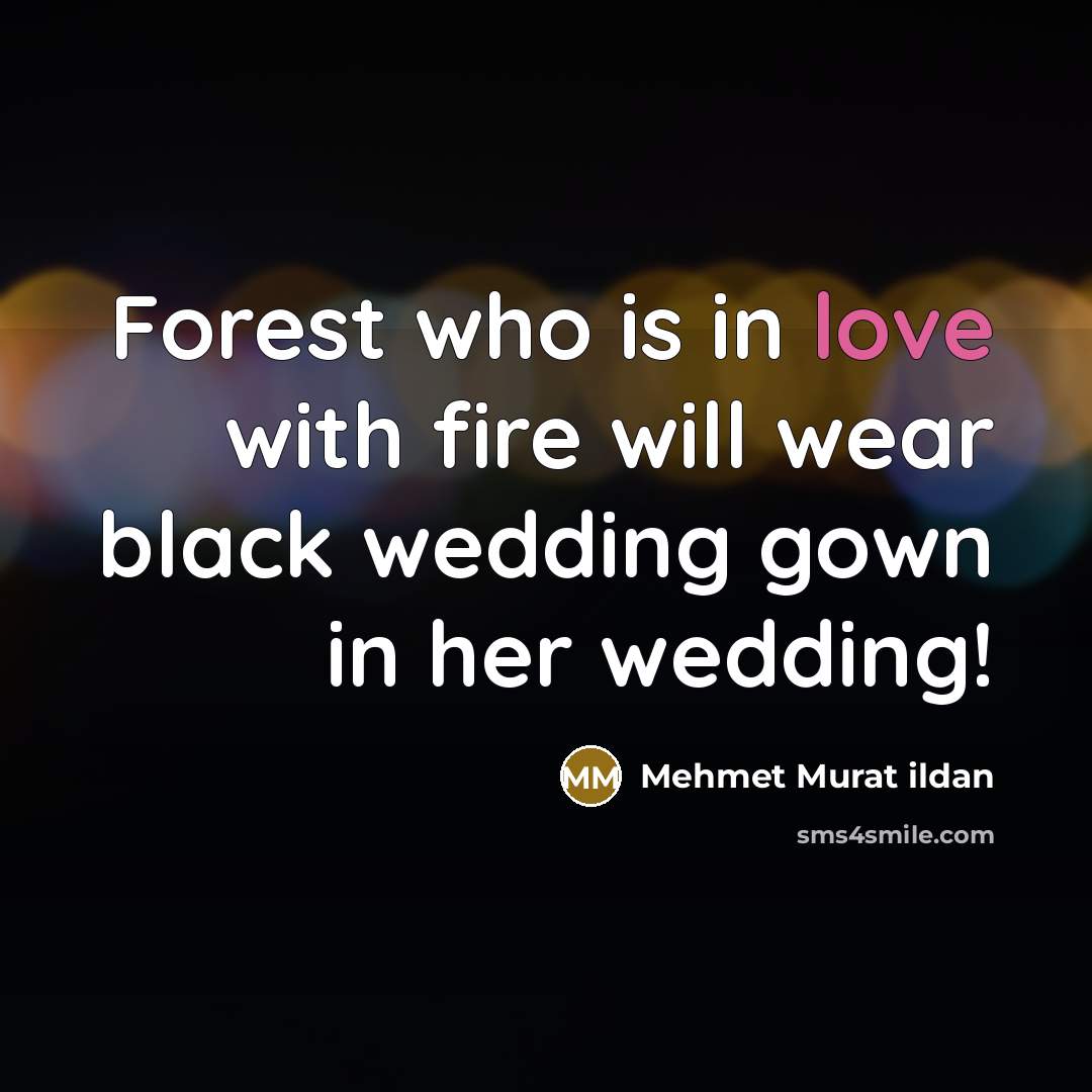“Forest who is in love with fire will wear black…” quote by Mehmet Murat Ildan