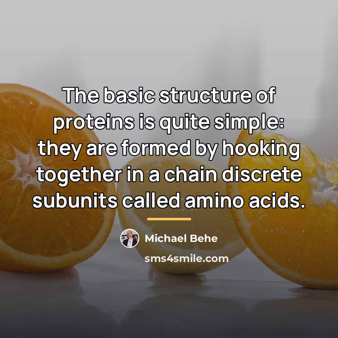 “The basic structure of proteins is quite simple: they are…” quote by Michael Behe