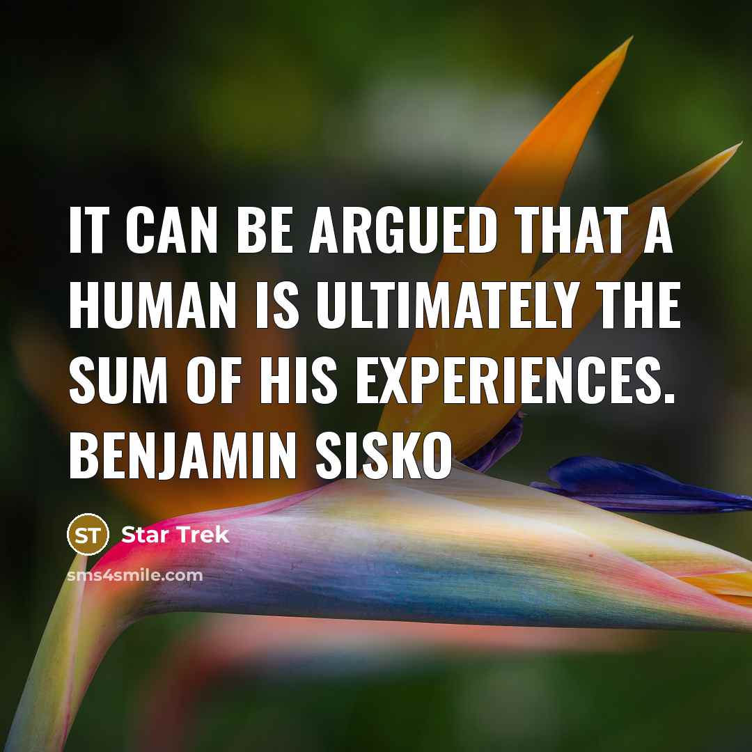 “It can be argued that a human is ultimately the…” quote by Star Trek