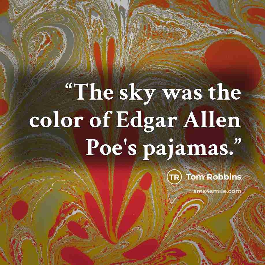 “The sky was the color of Edgar Allen Poe's pajamas.” quote by Tom Robbins