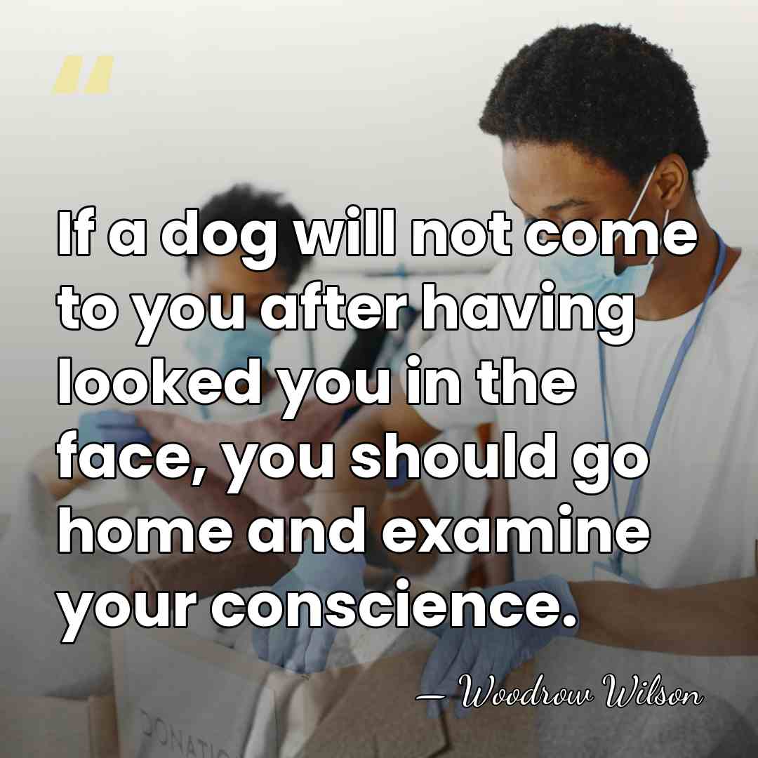 If a dog will not come to you after having looked you&hellip; - Woodrow Wilson
