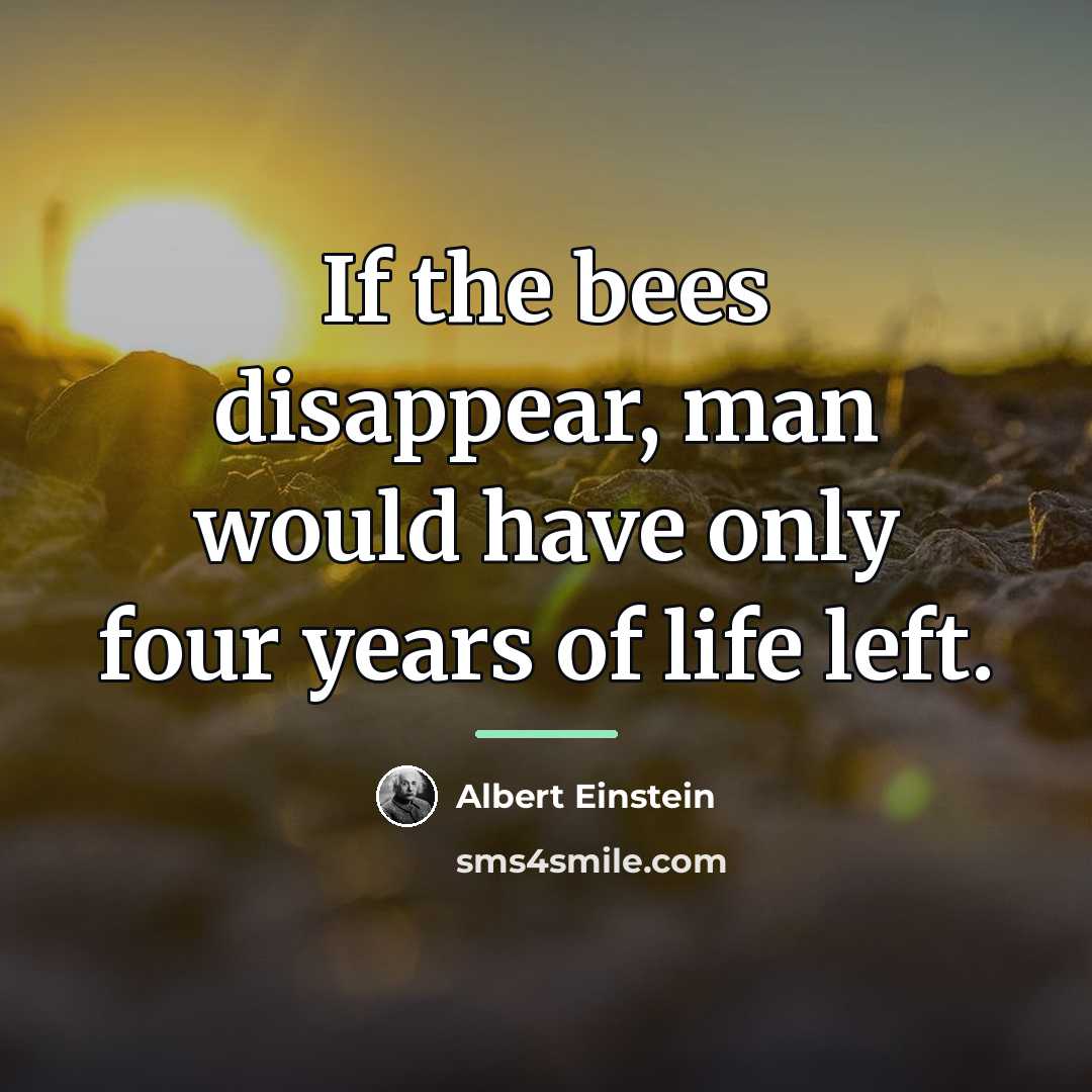 “If the bees disappear, man would have only four years…” quote by Albert Einstein