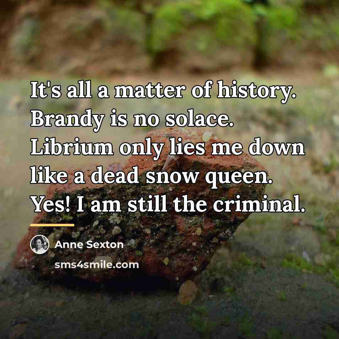 “It's all a matter of history. Brandy is no solace.…” quote by Anne Sexton
