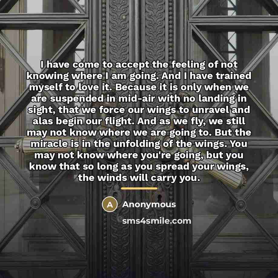 “I have come to accept the feeling of not knowing…” quote by Anonymous