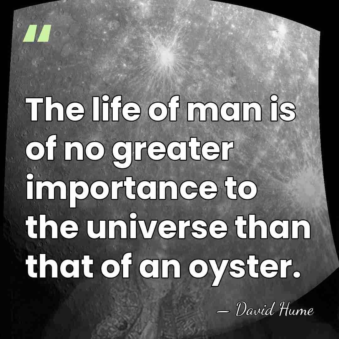 The life of man is of no greater importance to the universe&hellip; - David Hume