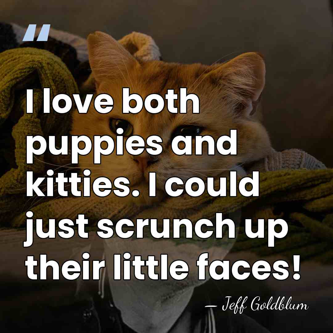 I love both puppies and kitties. I could just scrunch up their&hellip; - Jeff Goldblum