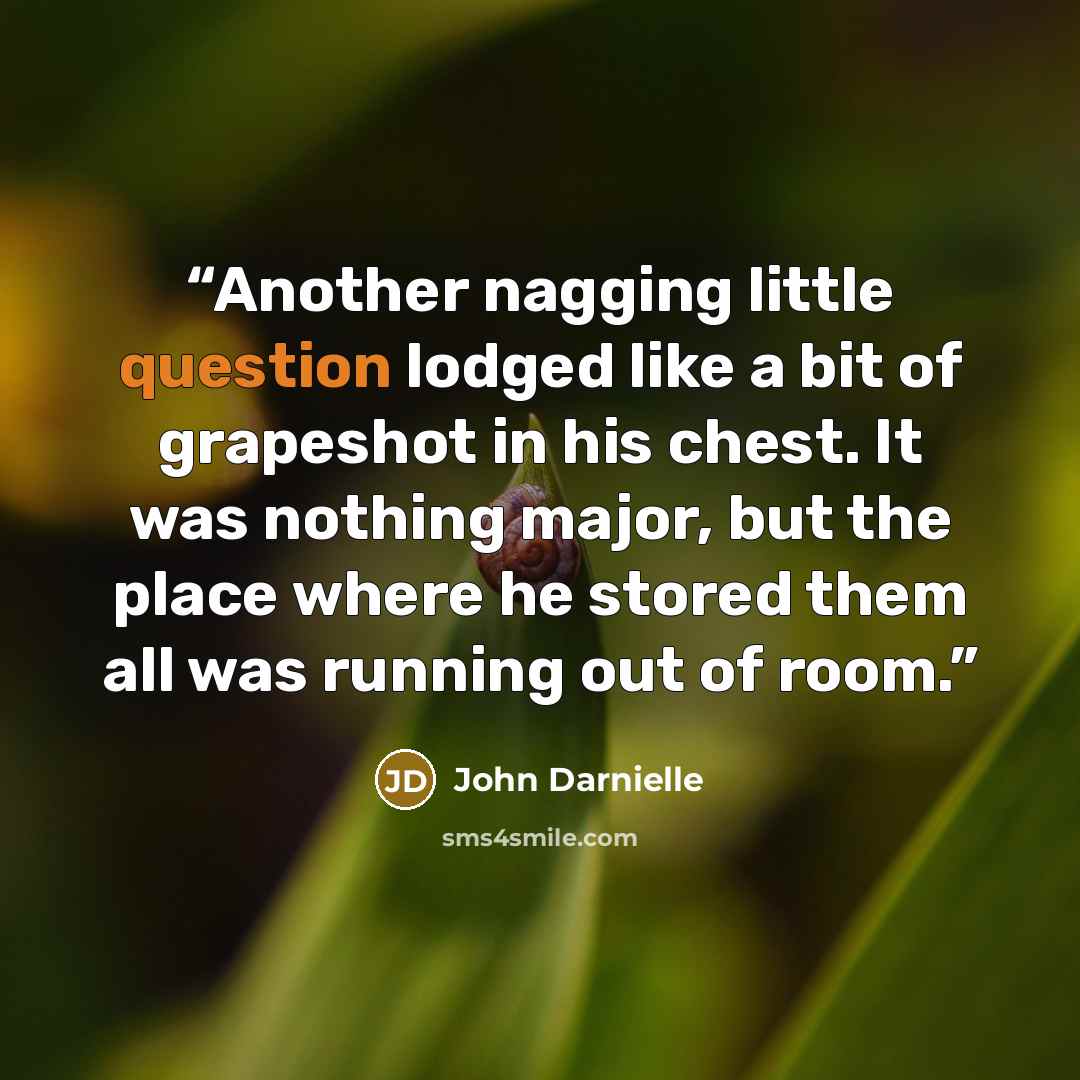 “Another nagging little question lodged like a bit of grapeshot in his chest. It was nothing major, but the place where he stored them all was running out of room.” quote by John Darnielle