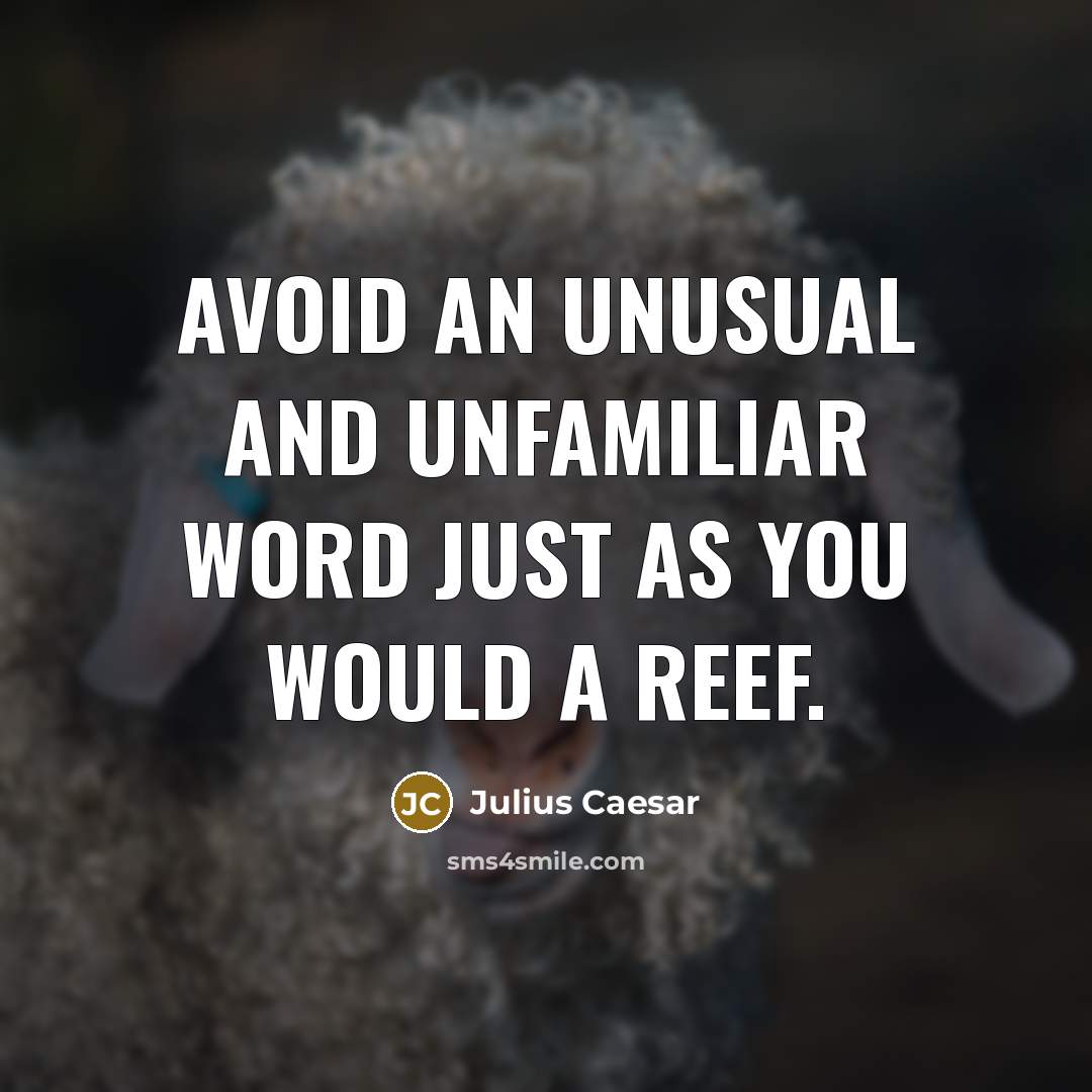 “Avoid an unusual and unfamiliar word just as you would a reef.” quote by Julius Caesar