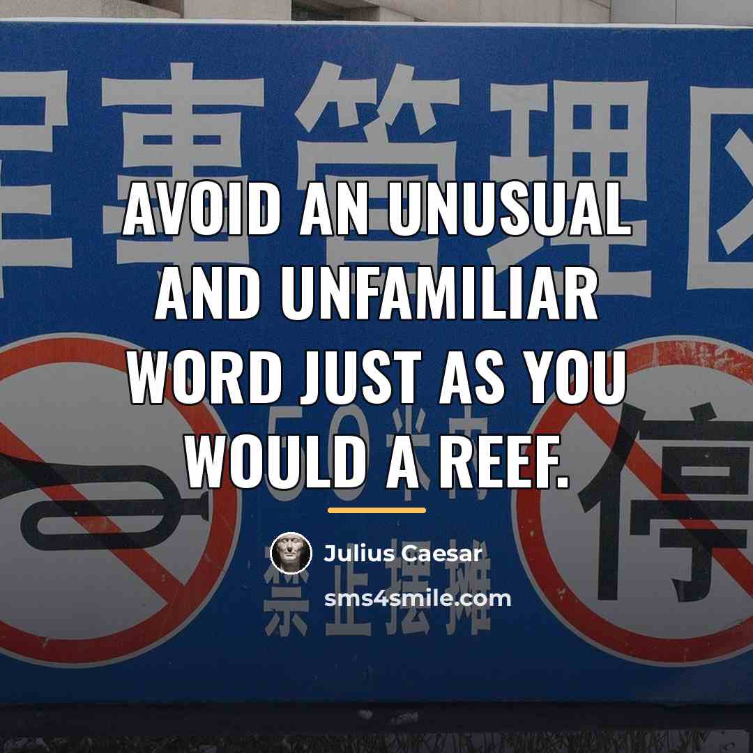 “Avoid an unusual and unfamiliar word just as you would…” quote by Julius Caesar