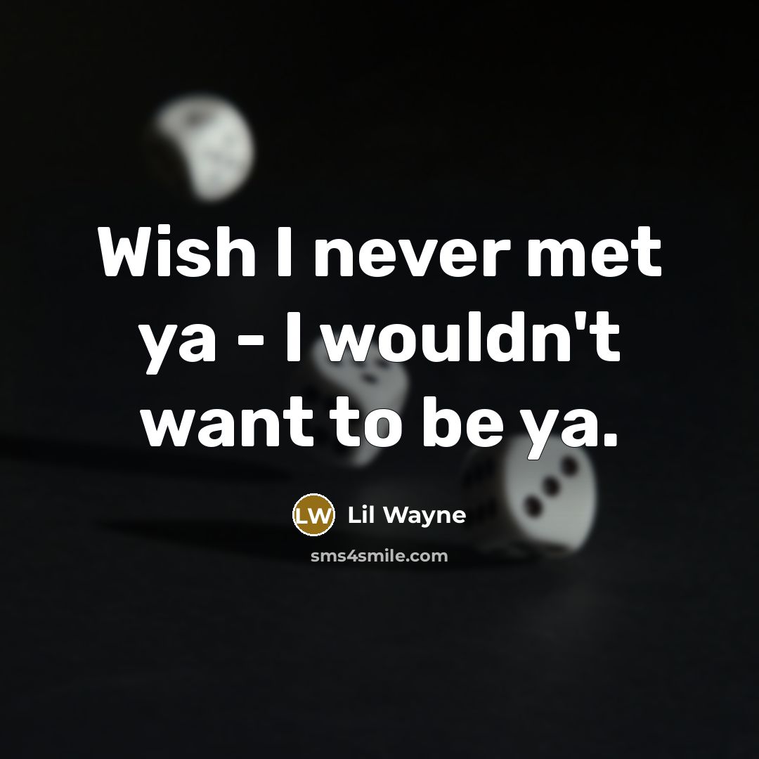 “Wish I never met ya - I wouldn't want to…” quote by Lil Wayne