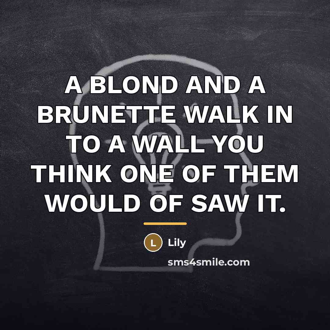 “A BLOND AND A BRUNETTE WALK IN TO A WALL…” quote by LILY