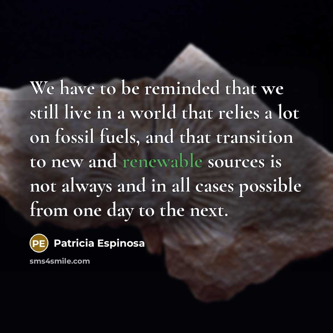 “We have to be reminded that we still live in a world that relies a lot on fossil fuels, and that transition to new and renewable sources is not always and in all cases possible from one day to the next.” quote by Patricia Espinosa