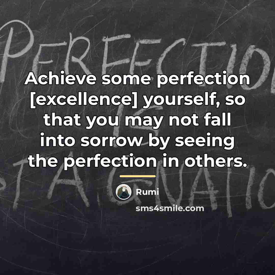 “Achieve some perfection [excellence] yourself, so that you may not…” quote by Rumi