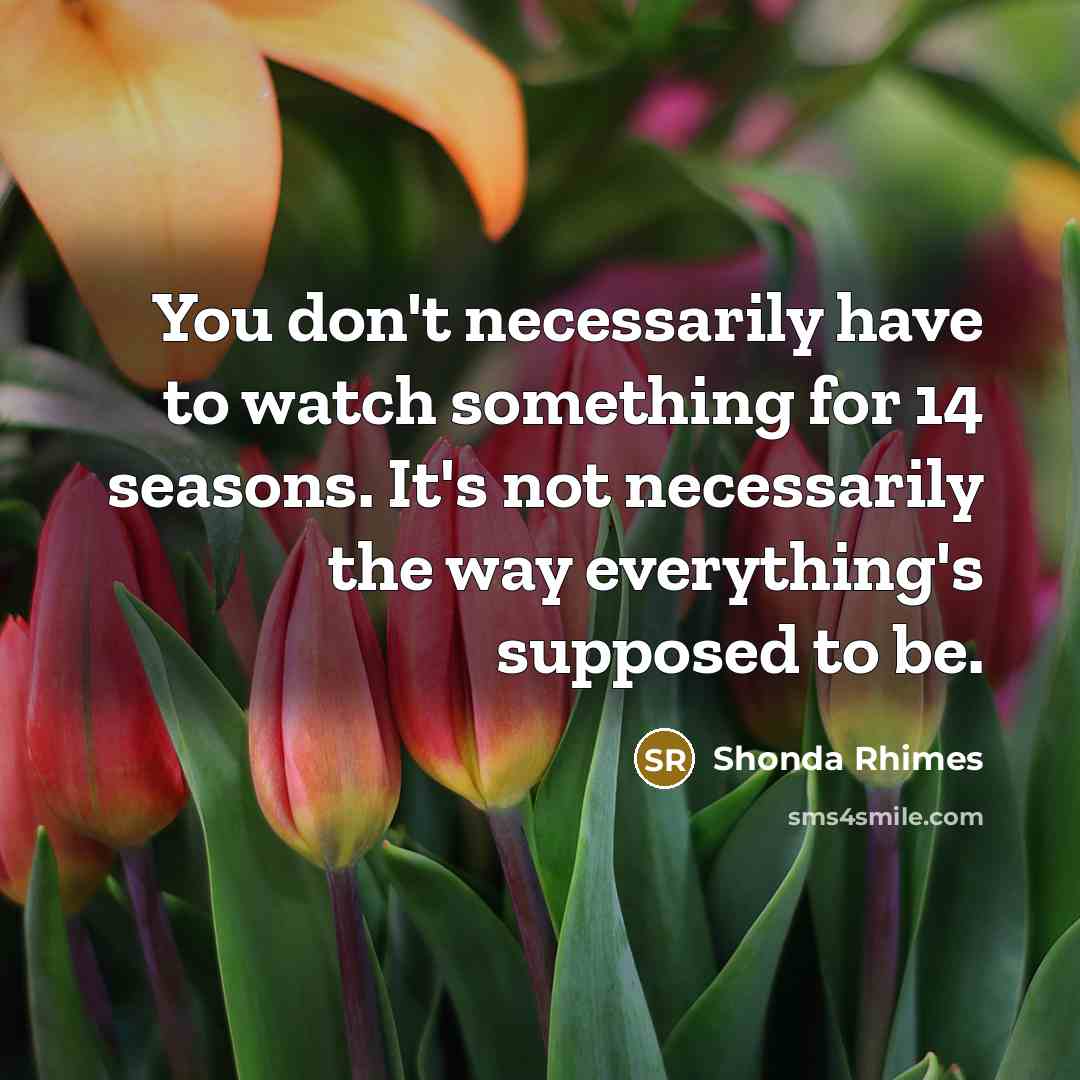 “You don't necessarily have to watch something for 14 seasons.…” quote by Shonda Rhimes