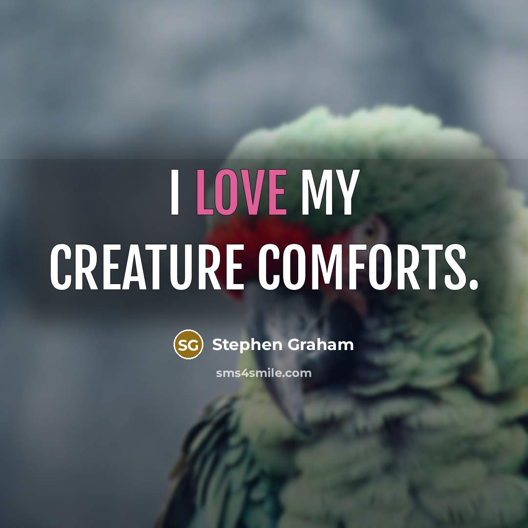 “I love my creature comforts.” quote by Stephen Graham