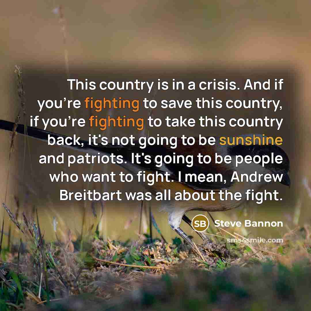 “This country is in a crisis. And if you're fighting…” quote by Steve Bannon