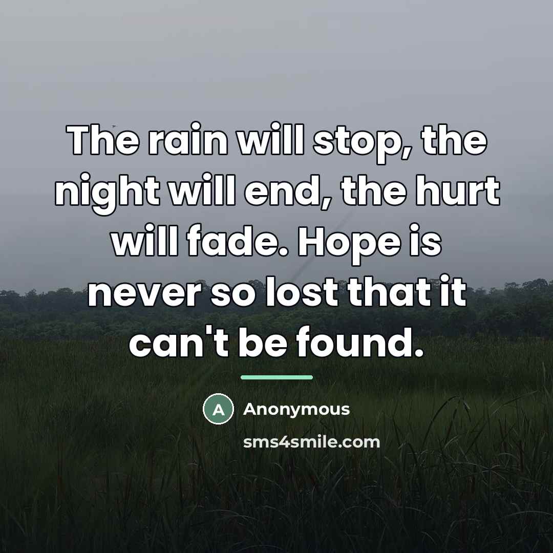 “The rain will stop, the night will end, the hurt…” quote by Anonymous