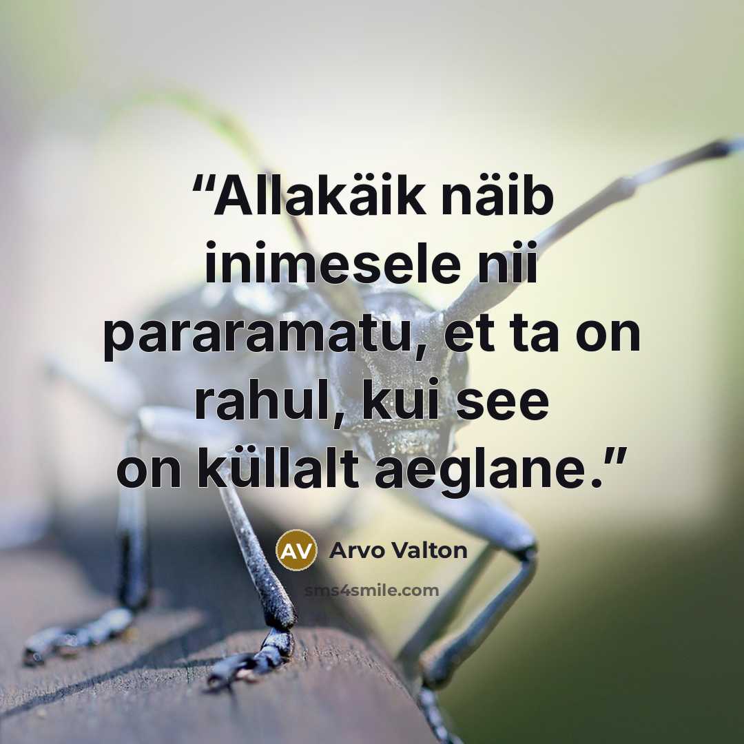 “Allakäik näib inimesele nii pararamatu, et ta on rahul, kui see on küllalt aeglane.” quote by Arvo Valton