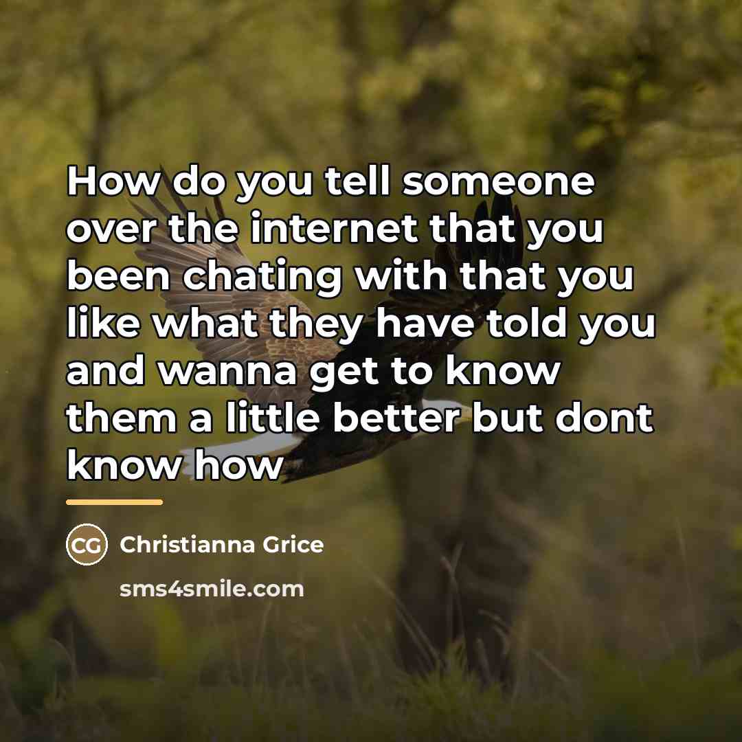 “How do you tell someone over the internet that you…” quote by Christianna Grice