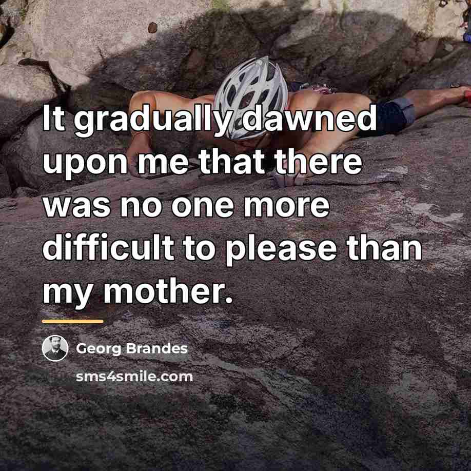 “It gradually dawned upon me that there was no one…” quote by Georg Brandes