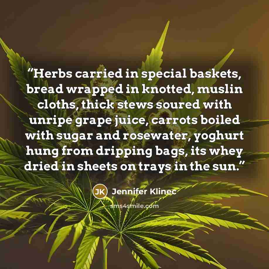 “Herbs carried in special baskets, bread wrapped in knotted, muslin cloths, thick stews soured with unripe grape juice, carrots boiled with sugar and rosewater, yoghurt hung from dripping bags, its whey dried in sheets on trays in the sun.” quote by Jennifer Klinec