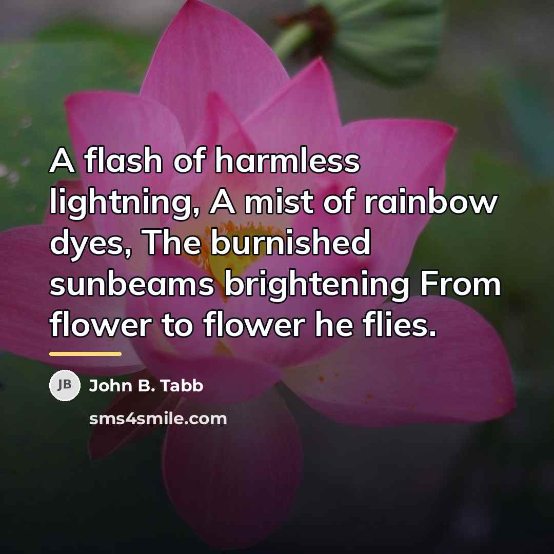 “A flash of harmless lightning, A mist of rainbow dyes,…” quote by John B. Tabb