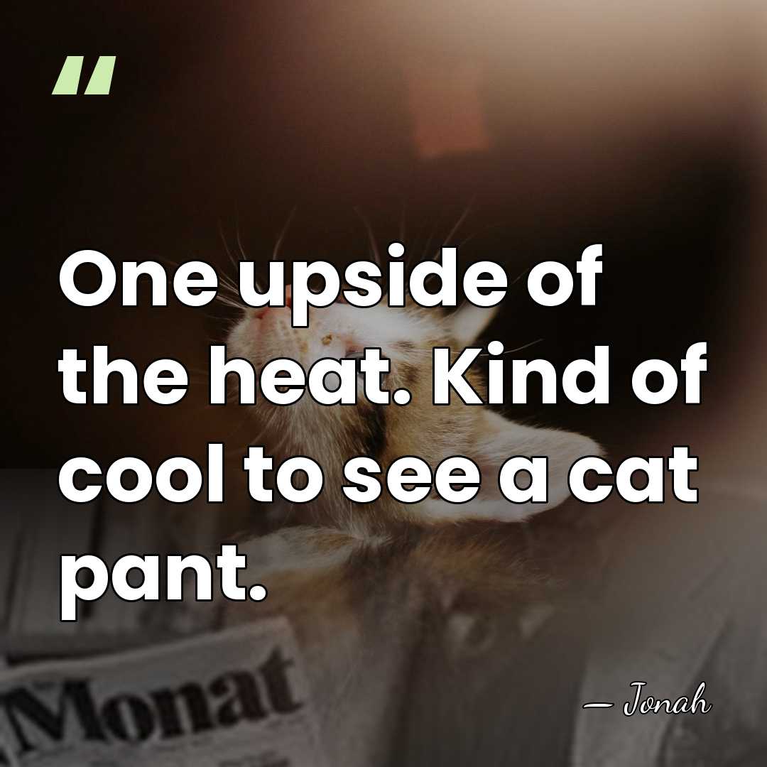One upside of the heat. Kind of cool to see a cat&hellip; - Jonah