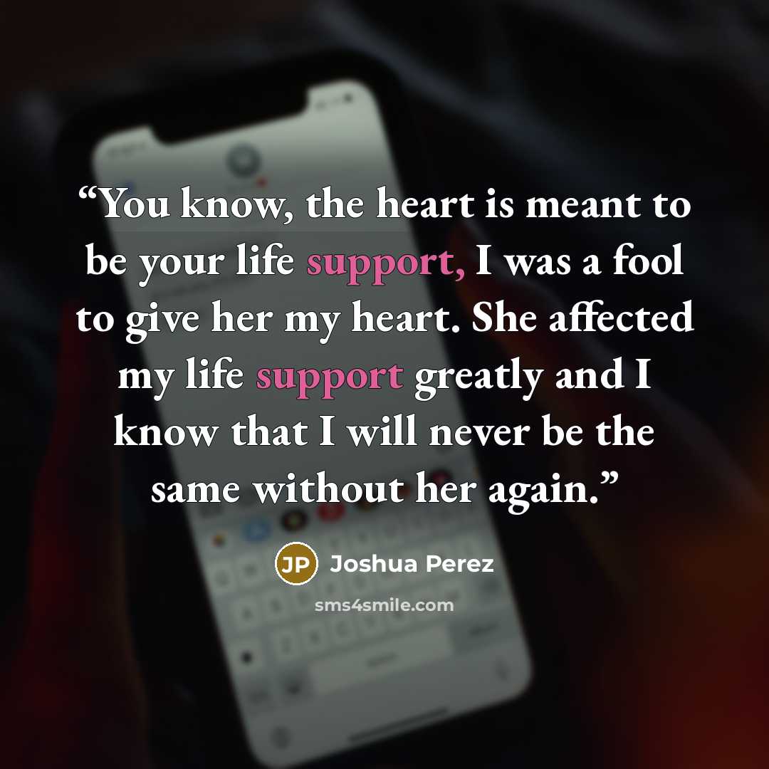 “You know, the heart is meant to be your life support, I was a fool to give her my heart. She affected my life support greatly and I know that I will never be the same without her again.” quote by Joshua Perez