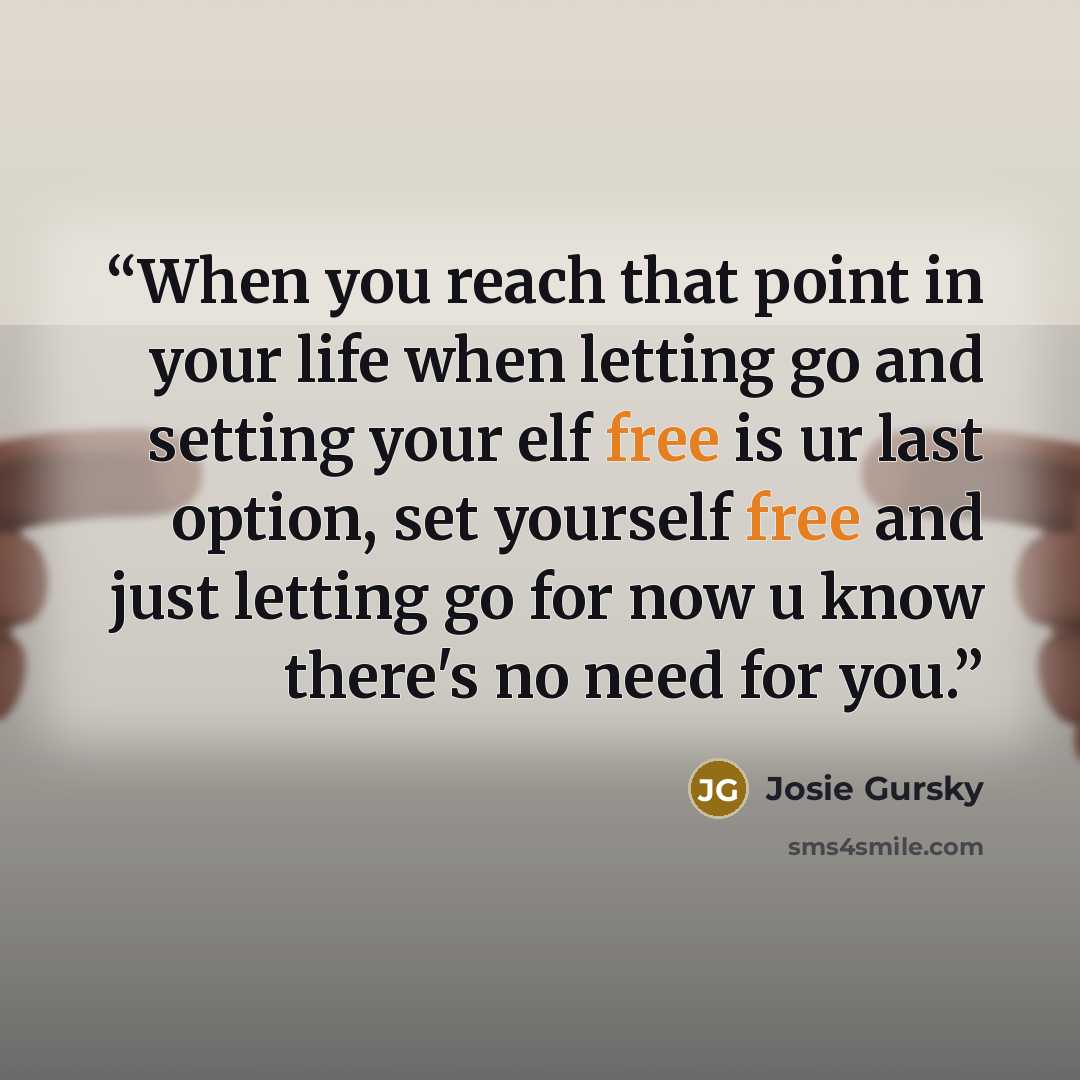 “When you reach that point in your life when letting go and setting your elf free is ur last option, set yourself free and just letting go for now u know there's no need for you.” quote by Josie Gursky