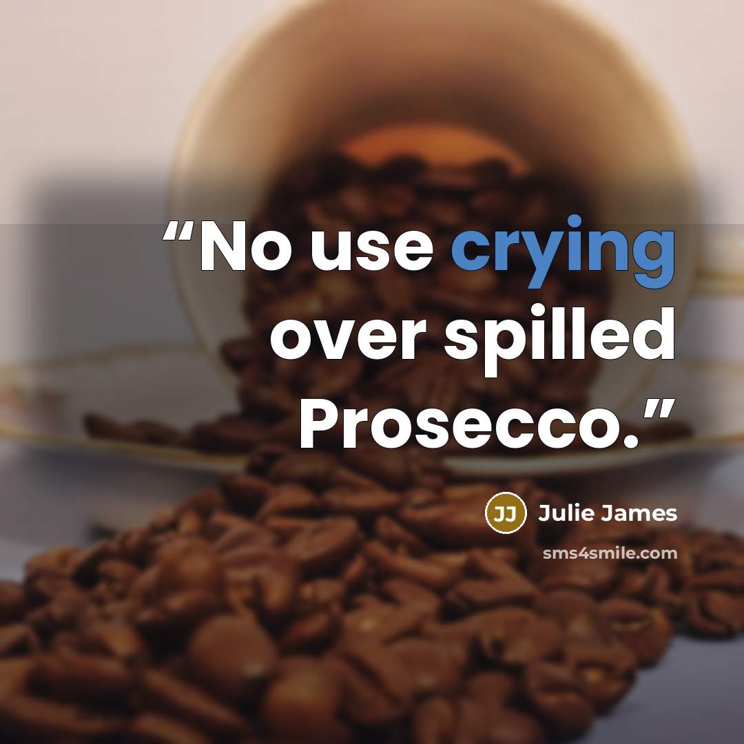 “No use crying over spilled Prosecco.” quote by Julie James
