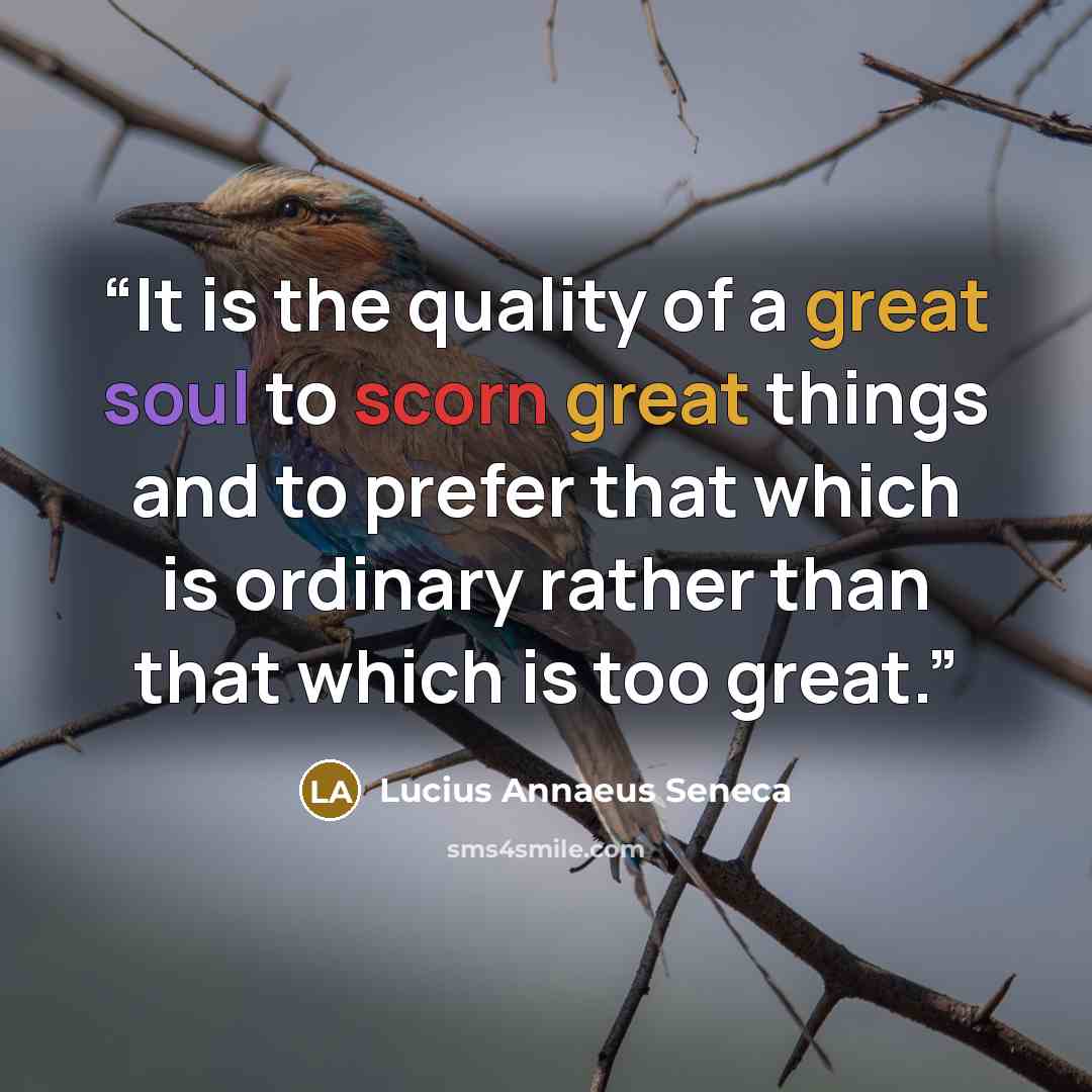 “It is the quality of a great soul to scorn great things and to prefer that which is ordinary rather than that which is too great.” quote by Lucius Annaeus Seneca