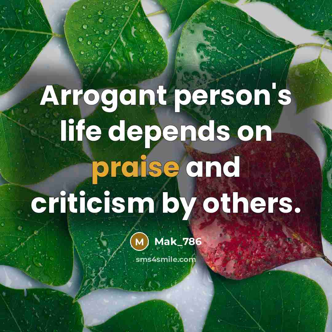 “Arrogant person's life depends on praise and criticism by others.” quote by Mak_786