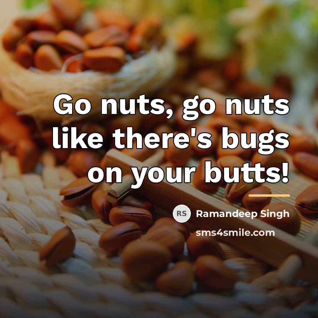 “Go nuts, go nuts like there's bugs on your butts!…” quote by Ramandeep Singh