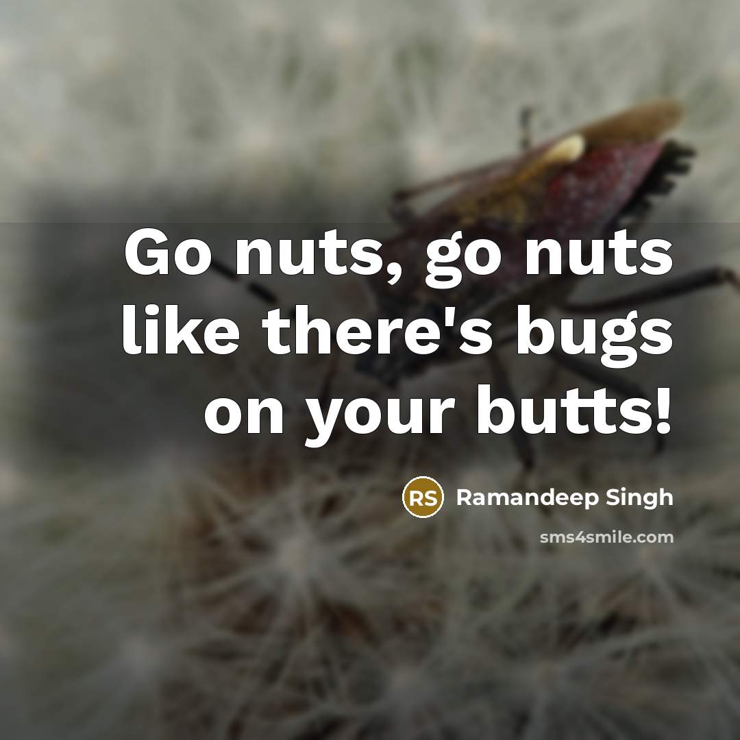 “Go nuts, go nuts like there's bugs on your butts!” quote by Ramandeep Singh
