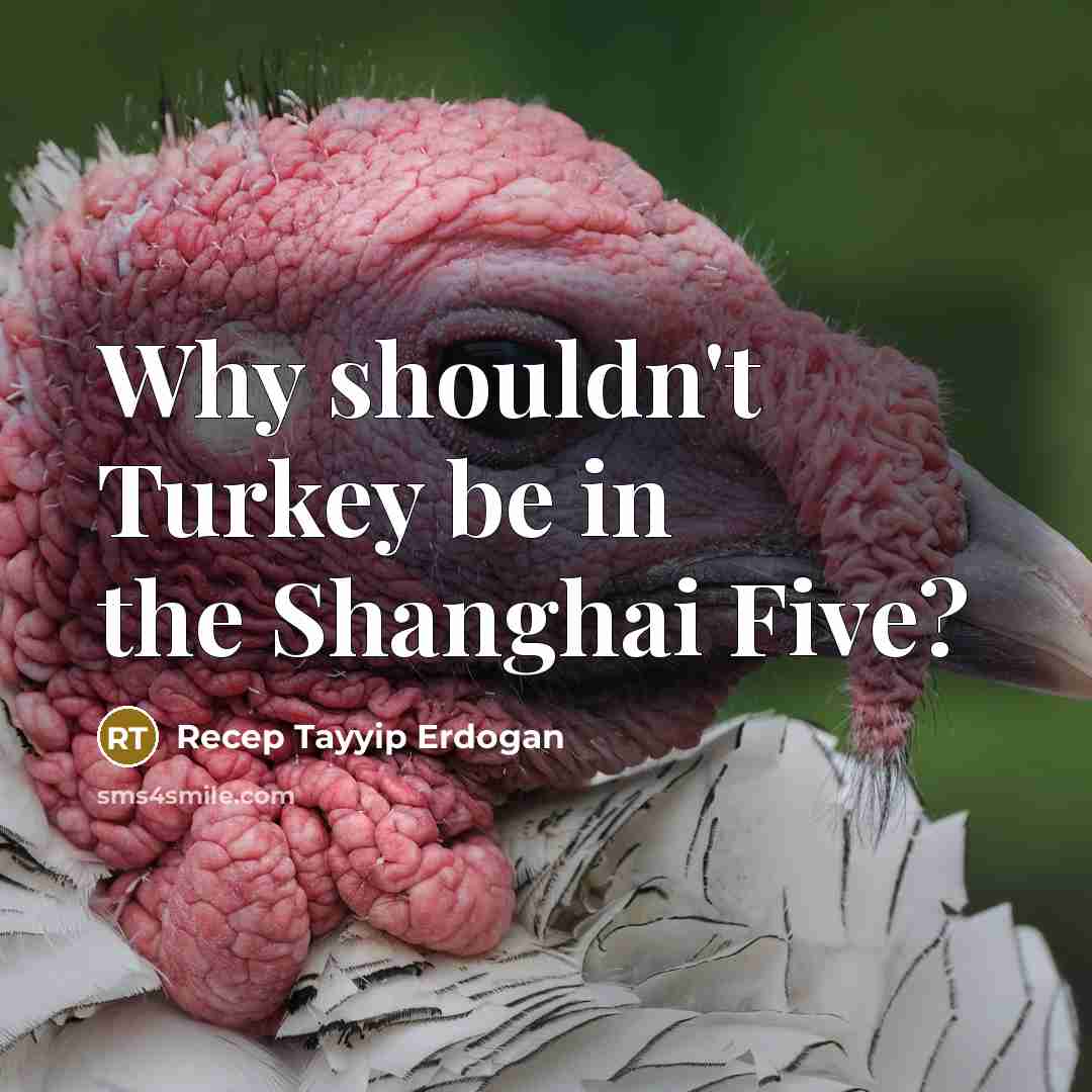 “Why shouldn't Turkey be in the Shanghai Five?…” quote by Recep Tayyip Erdogan