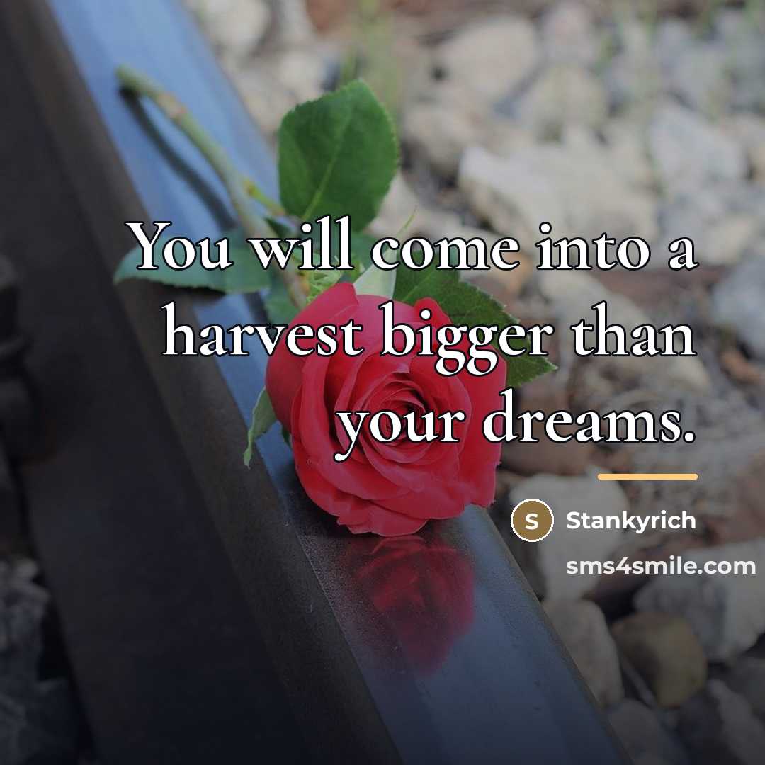“You will come into a harvest bigger than your dreams.…” quote by Stankyrich