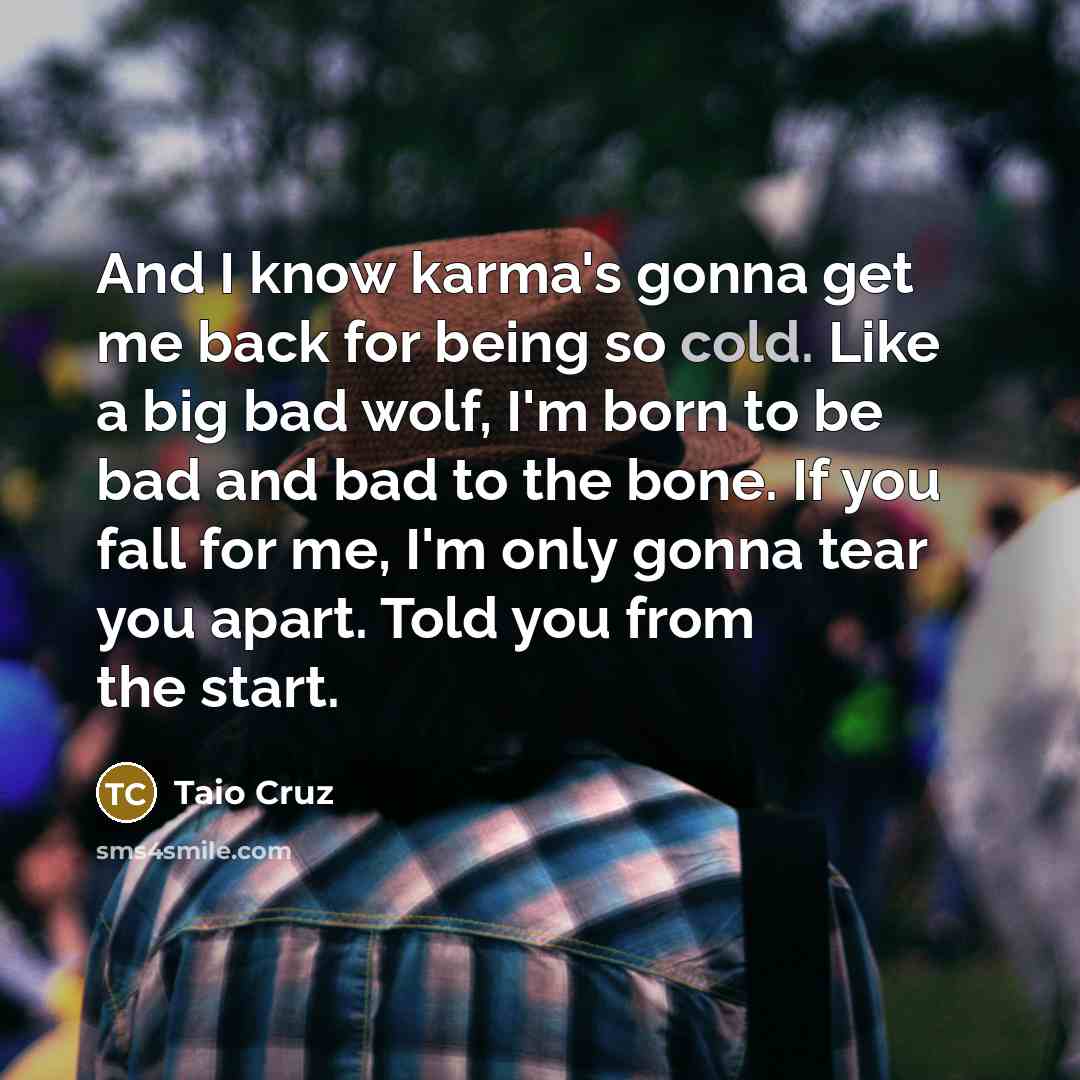 “And I know karma's gonna get me back for being so cold. Like a big bad wolf, I'm born to be bad and bad to the bone. If you fall for me, I'm only gonna tear you apart. Told you from the start.” quote by Taio Cruz