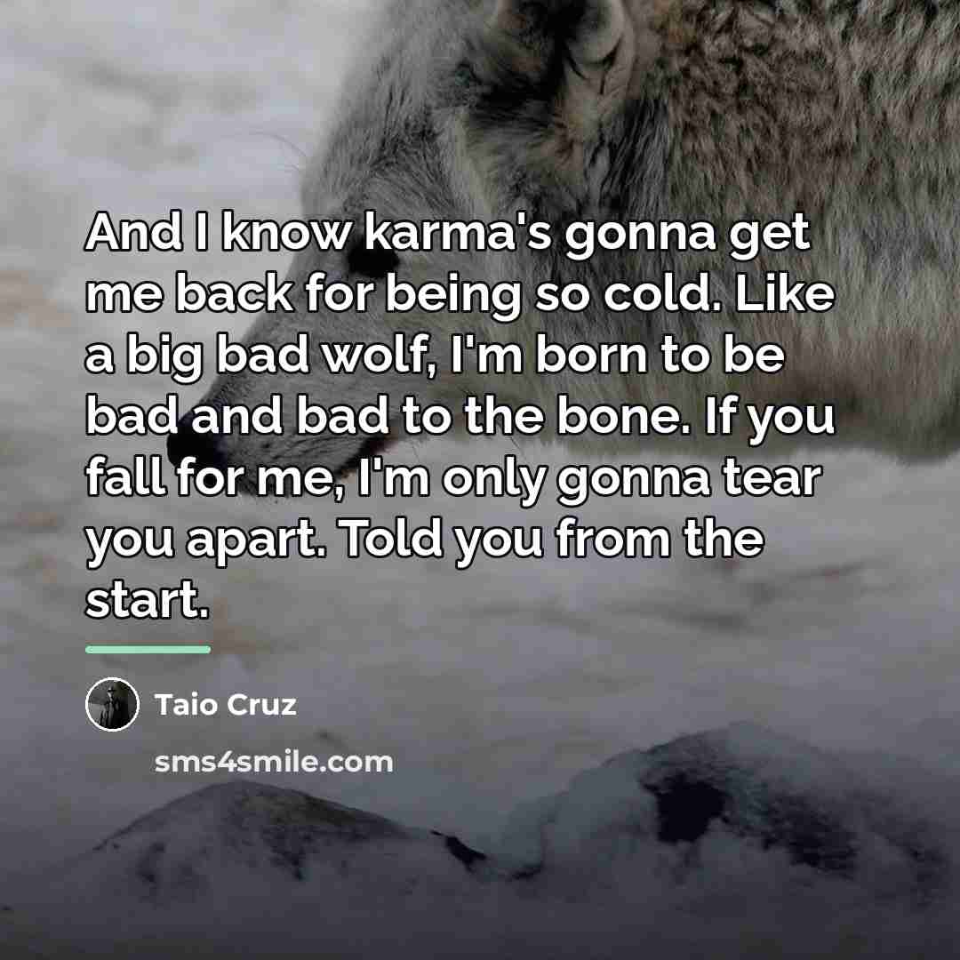 “And I know karma's gonna get me back for being…” quote by Taio Cruz