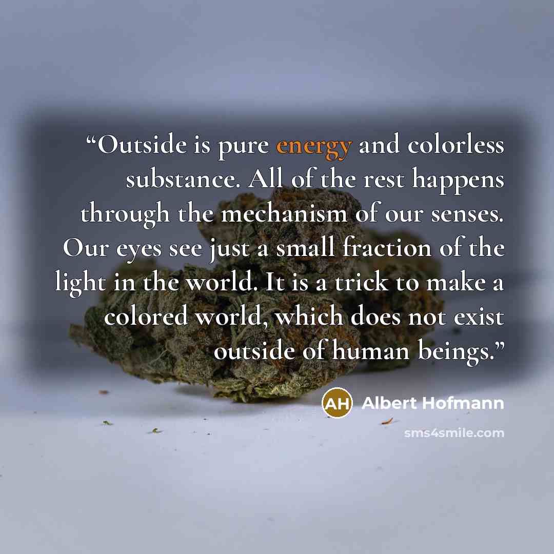 “Outside is pure energy and colorless substance. All of the rest happens through the mechanism of our senses. Our eyes see just a small fraction of the light in the world. It is a trick to make a colored world, which does not exist outside of human beings.” quote by Albert Hofmann