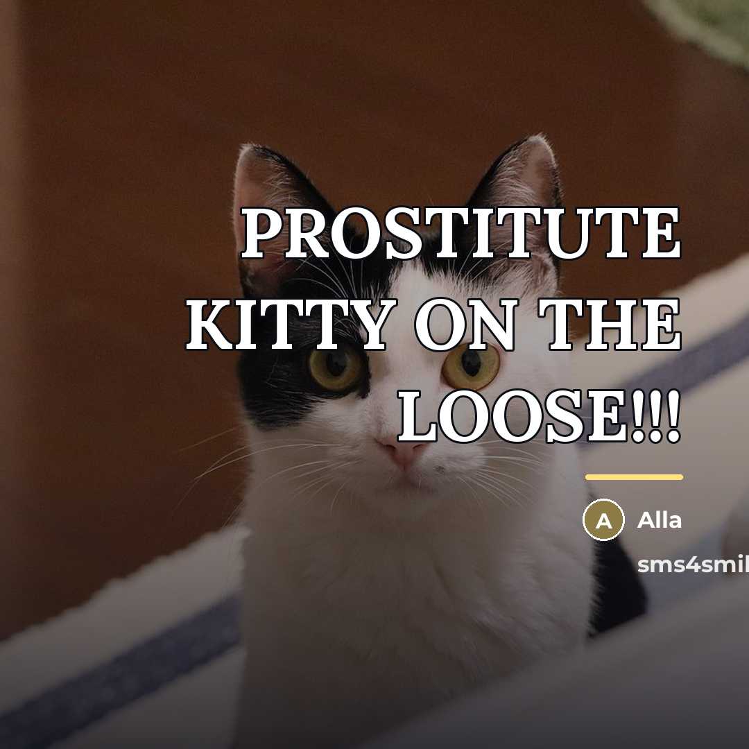 “PROSTITUTE KITTY ON THE LOOSE!!!…” quote by Alla