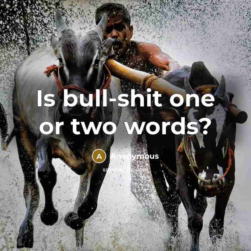 “Is bull-shit one or two words?” quote by Anonymous
