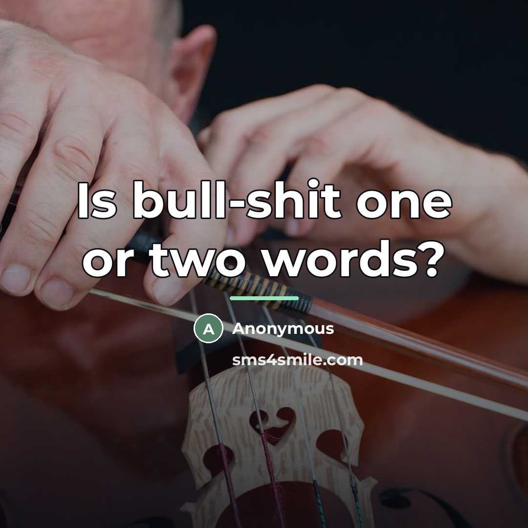 “Is bull-shit one or two words?…” quote by Anonymous
