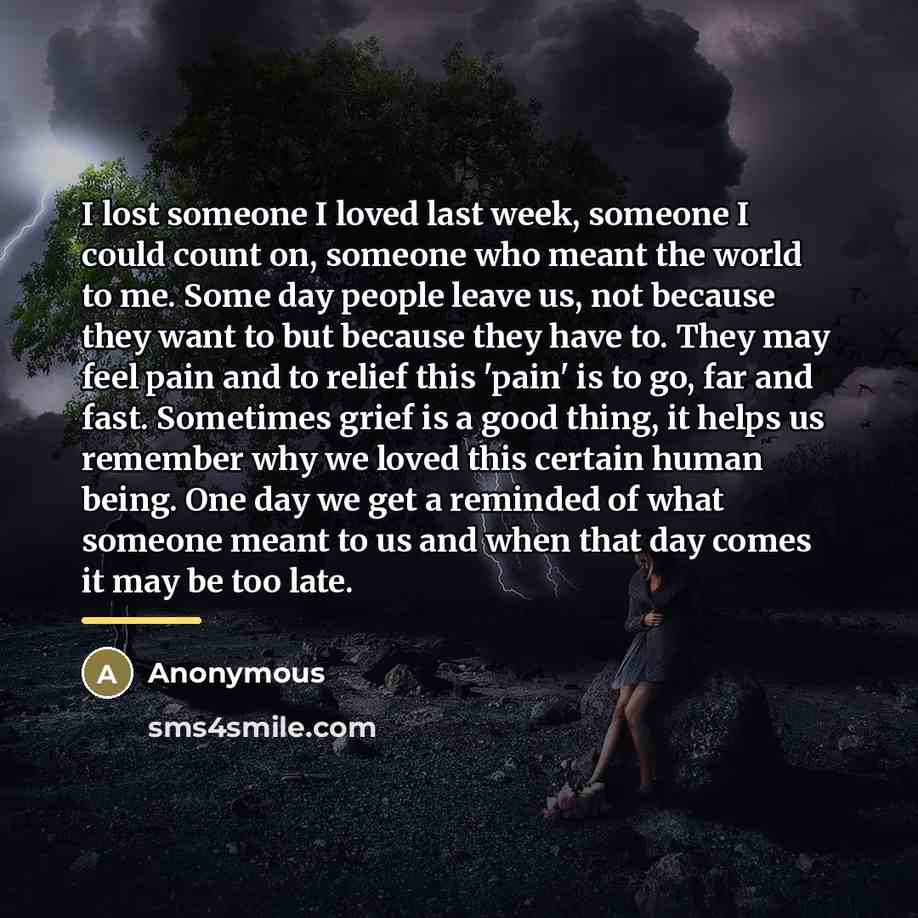 “I lost someone I loved last week, someone I could…” quote by Anonymous
