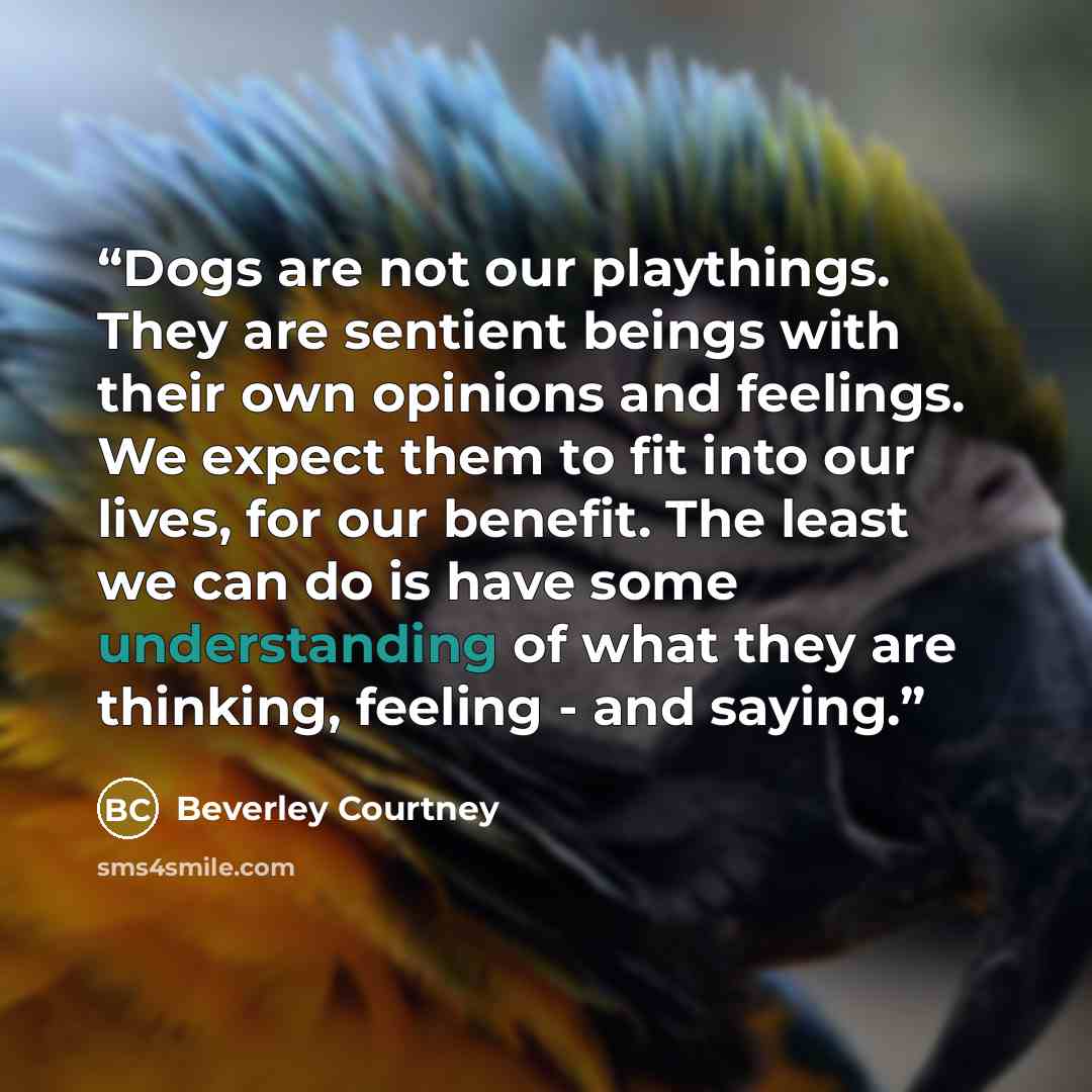 “Dogs are not our playthings. They are sentient beings with their own opinions and feelings. We expect them to fit into our lives, for our benefit. The least we can do is have some understanding of what they are thinking, feeling - and saying.” quote by Beverley Courtney