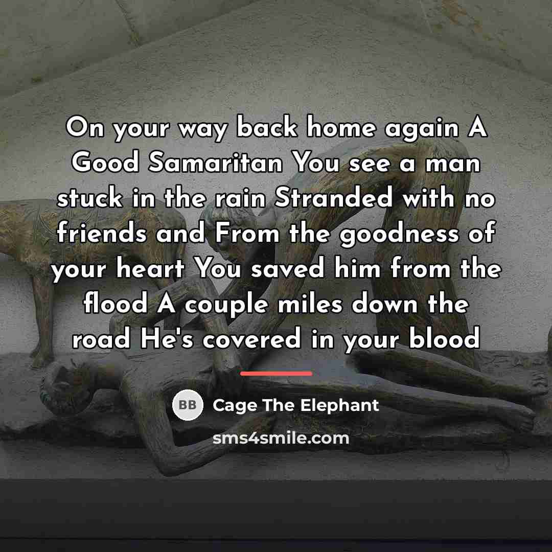 “On your way back home again A Good Samaritan You…” quote by Cage The Elephant
