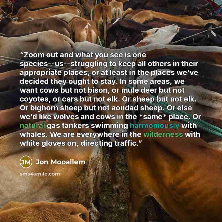 “Zoom out and what you see is one species--us--struggling to keep all others in their appropriate places, or at least in the places we've decided they ought to stay. In some areas, we want cows but not bison, or mule deer but not coyotes, or cars but not elk. Or sheep but not elk. Or bighorn sheep…” quote by Jon Mooallem