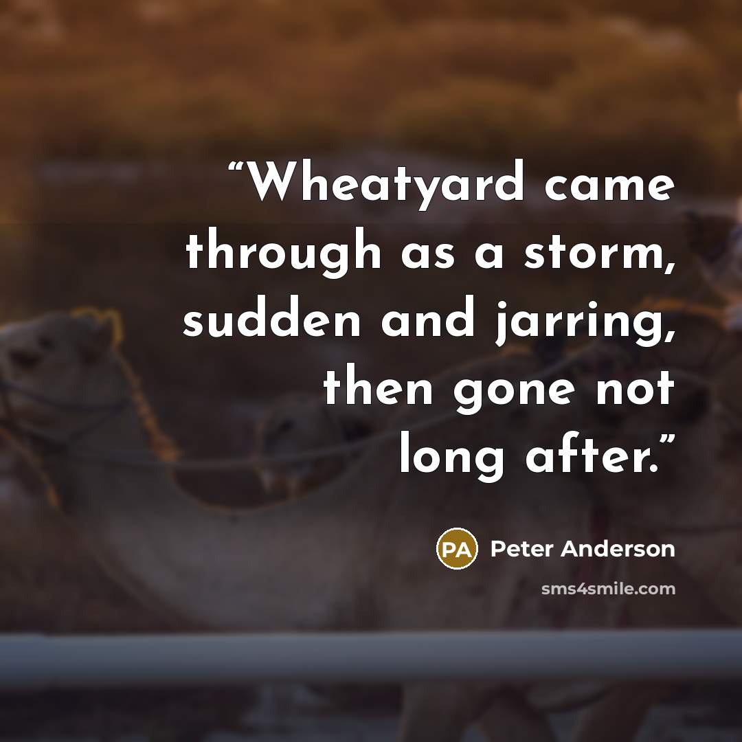 “Wheatyard came through as a storm, sudden and jarring, then gone not long after.” quote by Peter Anderson
