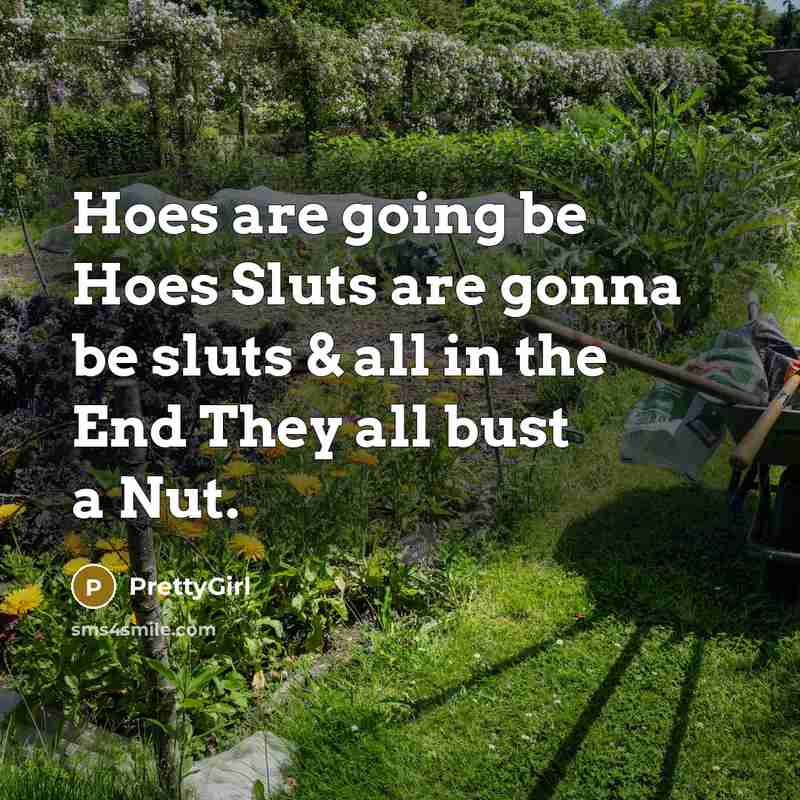 “Hoes are going be Hoes Sluts are gonna be sluts & all in the End They all bust a Nut.” quote by PrettyGirl