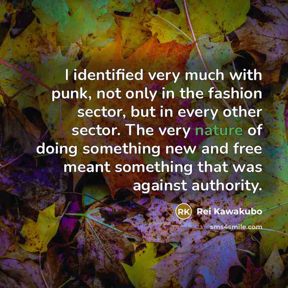 “I identified very much with punk, not only in the…” quote by Rei Kawakubo